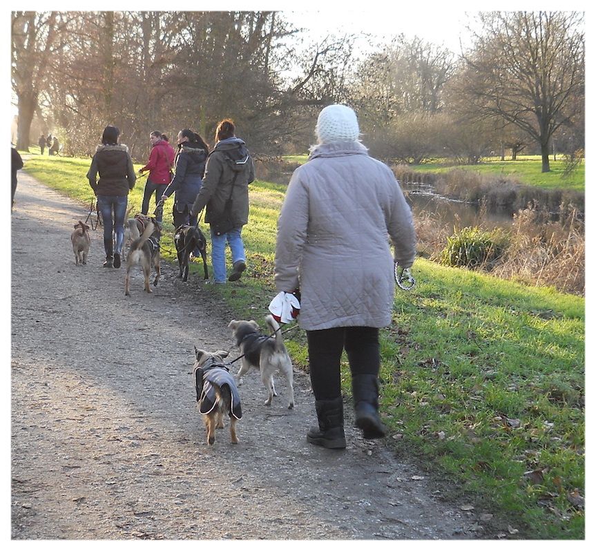 Geführter Spaziergang